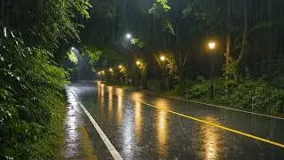Fall Asleep Fast with Soft Rain on a Quiet Street | ASMR White Noise for Deep Sleep