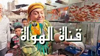سوق الجمعة في مصر 🇪🇬  القاهرة
