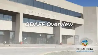 ODAFF Overview  |  December 2024