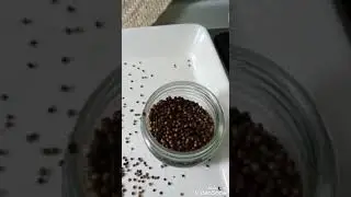 دقه المدينة 😋👌