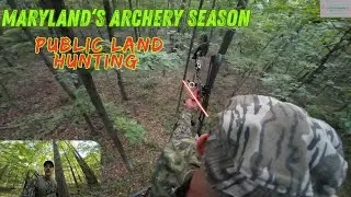 Maryland Opening Day Archery Season Public Land Success!