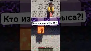 кто из нас крыса? #minecraft #майнкрафт #random #minecraftmemes #memes #animation #юмор #юмор