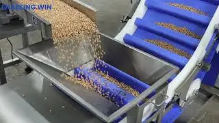 Conveyor for nuts