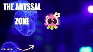 EXPLORE THE SEA SEA ANIMALS