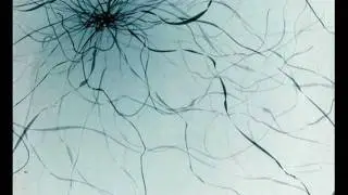 Exivious - All That Surrounds (full)