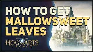How to get Mallowsweet Leaves Hogwarts Legacy