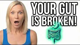 Why Gut Health is CRUCIAL for Weight Loss