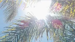 (Pedido)   Vibes a pocketful of sunshine   [Audio Subliminal]