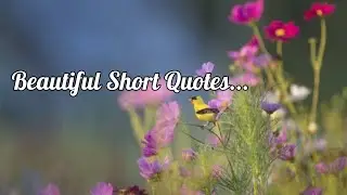 Beautiful Short Inspirational Quotes | Essence Of LIFE