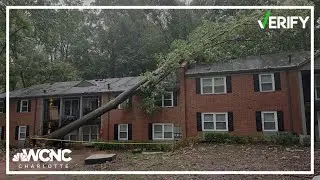 Who's responsible if a neighbor's tree falls on your property? Let's verify
