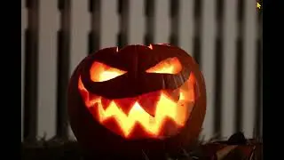 pumpkin with music