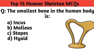 Human Skeleton System MCQs |NursingNHM, ANM, Staff Nurse ExamMCQs 2025| RRB, NCLEX, NORCET.