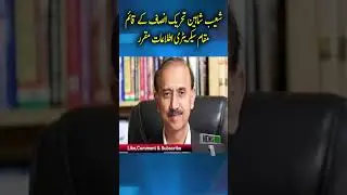 Shoaib Shaheen appointed Acting Information Secretary of Tehreek-e-Insaf | breaking news