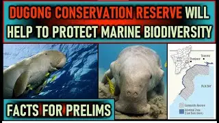 Dugong Conservation Reserve in India and how will it help to protect Marine Biodiversity ? #prelims