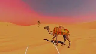 Explore the Desert Ecosystem in Virtual Reality | VR Learning Experience for Students