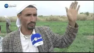 الجلفة / أمطار طوفانية تجرف المحاصيل والمقابر بدار الشيوخ