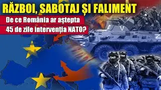 Război, sabotaj și faliment: De ce Rom&acirc;nia ar aștepta 45 de zile intervenția NATO?