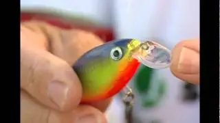 Rapala® X-Rap® Shad Shallow