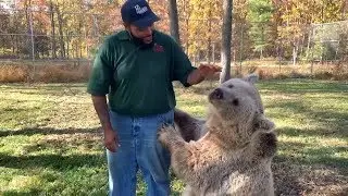 Orphaned bear is reunited with her human carer after years apart | Reunited with animals