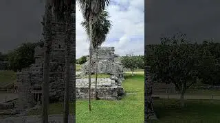 Ancient temples near Tulum Mexico #travel #mexico #art #vacation #nature #shorts #love #god #temple