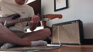 1965 Fender Vibrolux Reverb - Old Love (Eric Clapton)