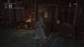 Bloodborne №8