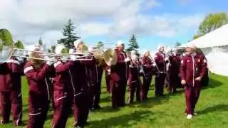 Fire Up Chips!