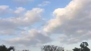 Tiger Cloud Deity