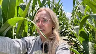 Tar Spot is going to be a problem this season!