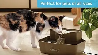 Automatic Water Fountain ! Cat Fountain Stainless Steel ! gadget