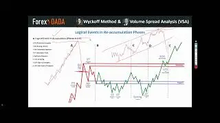 Lecture 11 | Wyckoff Re-Accumulation | Live Batch 04