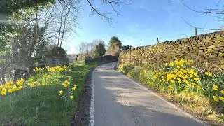 Low Holdworth and Stacey Bank, Loxley Valley, Sheffield, 24/3/2025