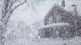 Winter Storm Sound for Deep Sleep | Strong Wind Sweeping Snowfall | Calming Ambience