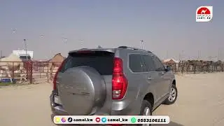 مخيم الاستقبال بمزاد الشرقية للإبل بالصرار ولقاء مع المحلل ومالك الابل / حمد بن عجيمه