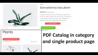 How to add  pdf catalog of products in woocommerce website