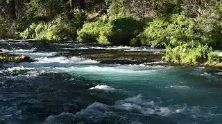 2023 Metolius Snapshot