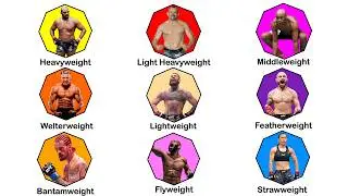 EVERY UFC WEIGHTCLASS Explained in Under 8 Minutes