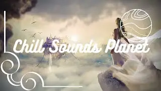 Ambient Harp Music for Working and Relaxing (8 hours) 🧘&zwj;♀️