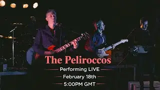 The Peliroccos: Plugged In & Let Loose With Their Live Indie Rock Set