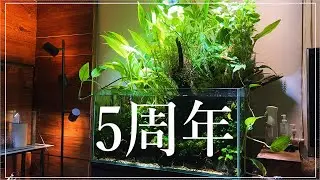 アクアリウムを始めて早５年
