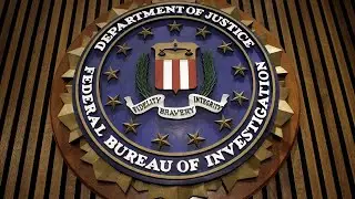 DOJ: 281 arrested in global wire fraud sting