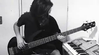 Miracle Aligner (Live at Vox Studios) - The Last Shadow Puppets // Bass Cover