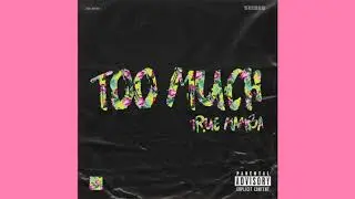 True Mamba - Too Much (Official Audio)