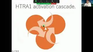 Plenary I: Familial SVD, CARASIL and Treatments - Osamu Onodera