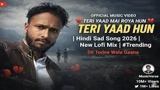 Teri Yaad Mein Roya Hun 💔 | Hindi Sad Song 2026 | New Lofi Mix | Heart Touching Song Official Music 