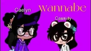 Wannabe meme