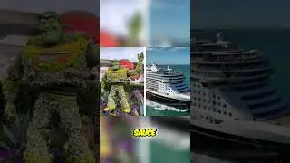 Планируете поездку в Орландо и круиз после 60 лет? Вот простой план путешествия!