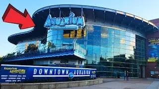 Downtown Aquarium Denver Colorado Full Tour