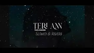 Teri Ann ( slowed & Reverb )| Tu Kenda Si Ma Teri Ann | New latest Punjabi song 2025 | Faizu Ghafari
