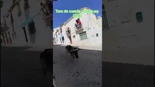Toro de cuerda carcabuey 2025